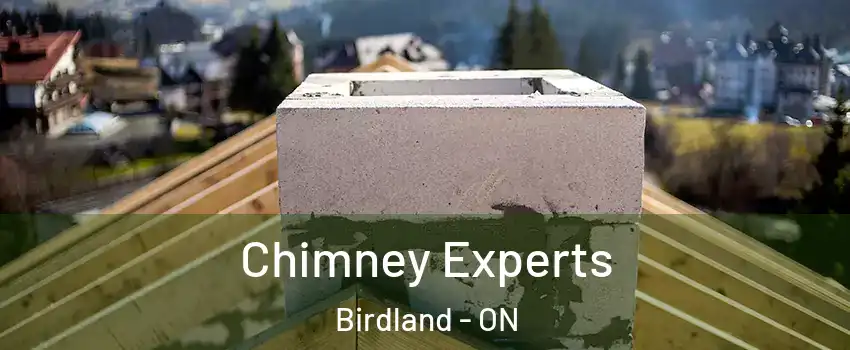 Chimney Experts Birdland - ON