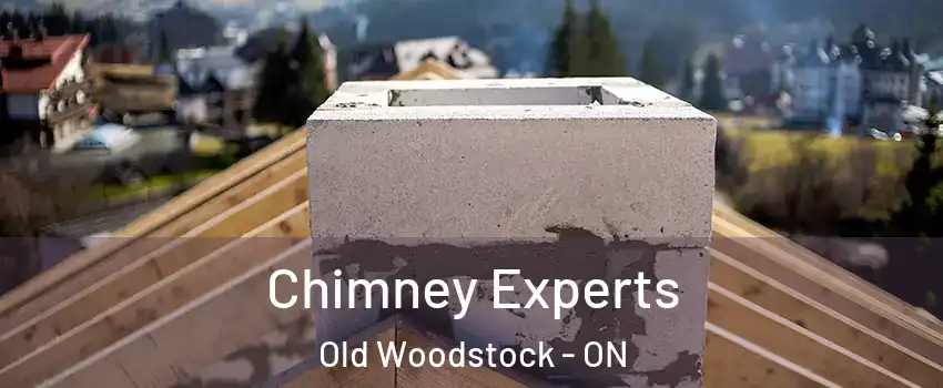 Chimney Experts Old Woodstock - ON