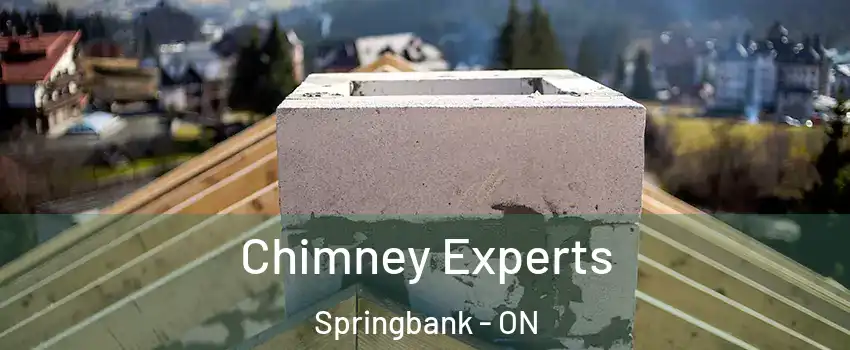 Chimney Experts Springbank - ON