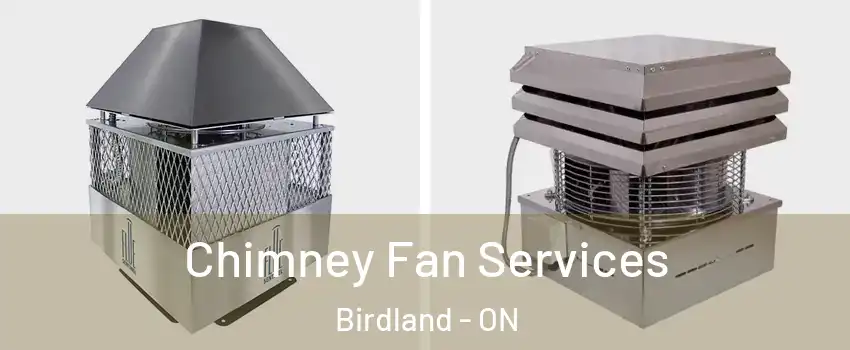 Chimney Fan Services Birdland - ON
