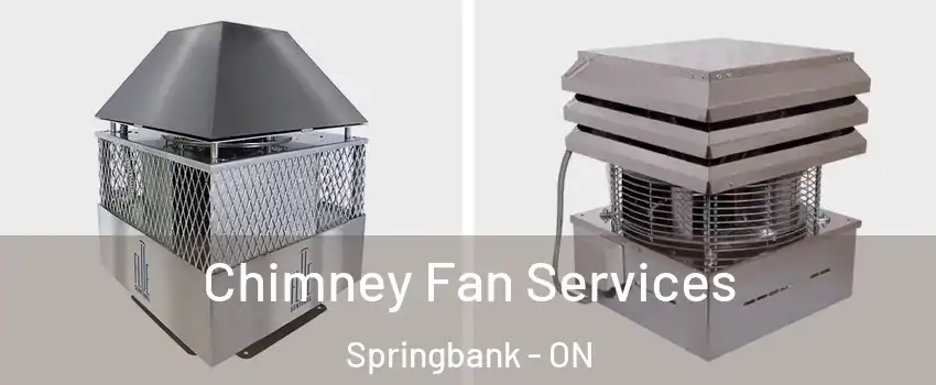  Chimney Fan Services Springbank - ON