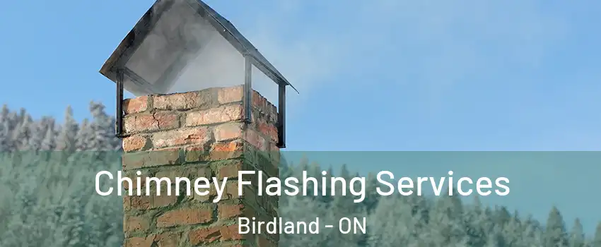 Chimney Flashing Services Birdland - ON