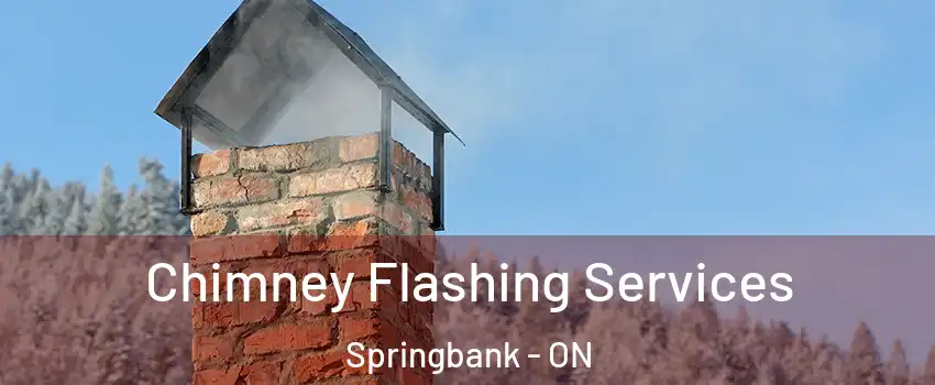 Chimney Flashing Services Springbank - ON