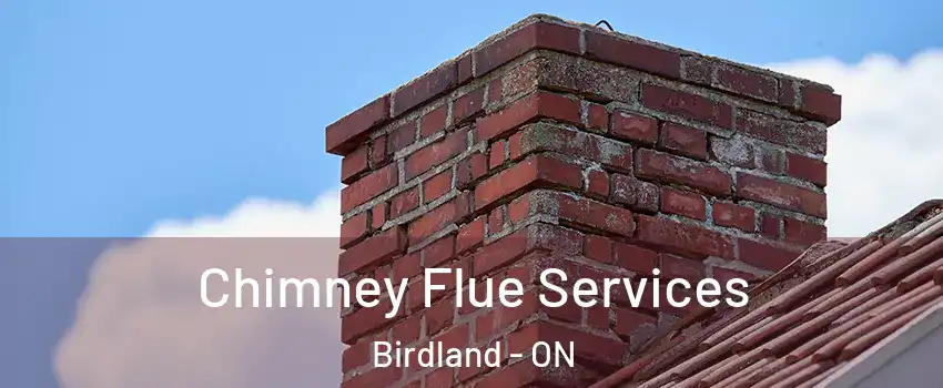  Chimney Flue Services Birdland - ON