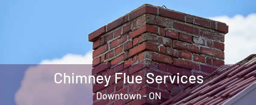  Chimney Flue Services Downtown - ON