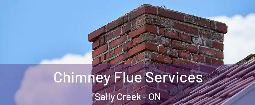  Chimney Flue Services Sally Creek - ON