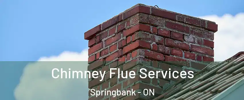  Chimney Flue Services Springbank - ON