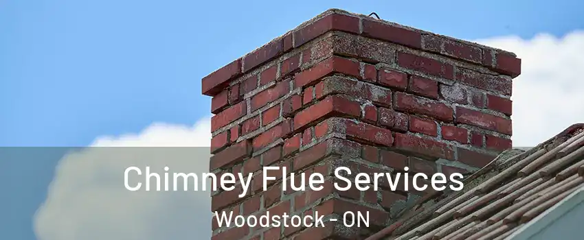  Chimney Flue Services Woodstock - ON