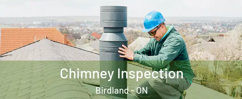 Chimney Inspection Birdland - ON