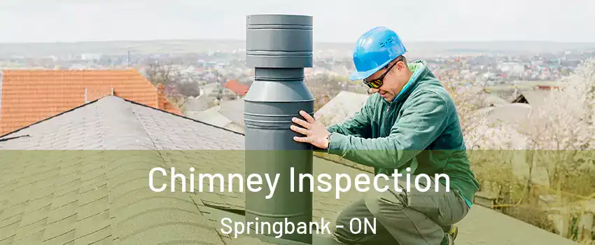 Chimney Inspection Springbank - ON