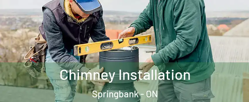  Chimney Installation Springbank - ON