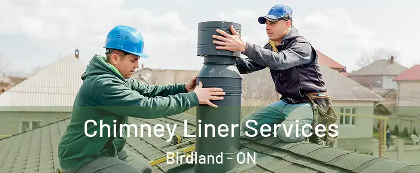 Chimney Liner Services Birdland - ON