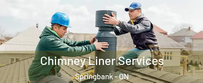  Chimney Liner Services Springbank - ON