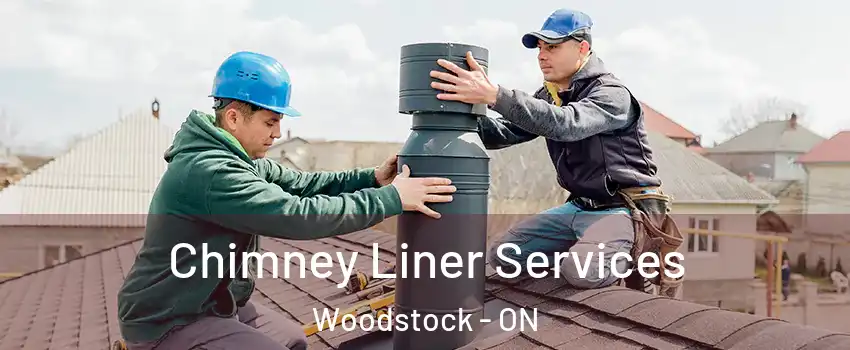  Chimney Liner Services Woodstock - ON