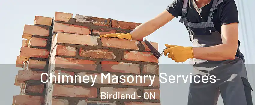  Chimney Masonry Services Birdland - ON