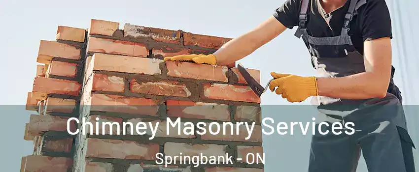  Chimney Masonry Services Springbank - ON