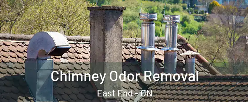  Chimney Odor Removal East End - ON
