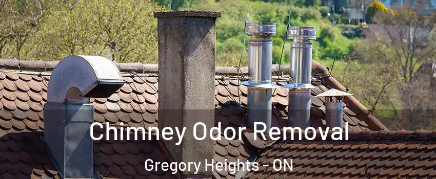  Chimney Odor Removal Gregory Heights - ON