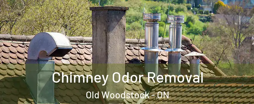  Chimney Odor Removal Old Woodstock - ON
