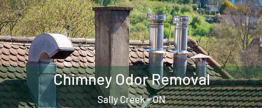 Chimney Odor Removal Sally Creek - ON