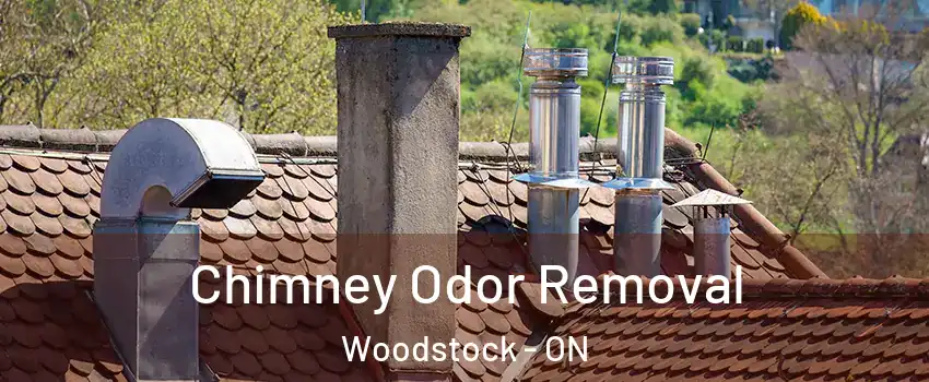  Chimney Odor Removal Woodstock - ON