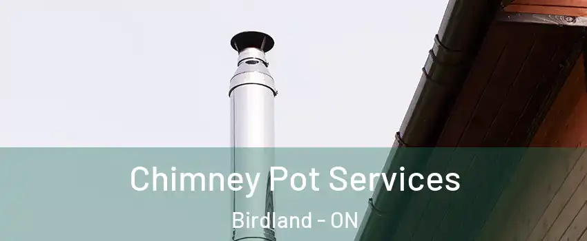  Chimney Pot Services Birdland - ON