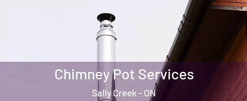  Chimney Pot Services Sally Creek - ON