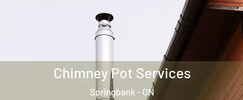  Chimney Pot Services Springbank - ON