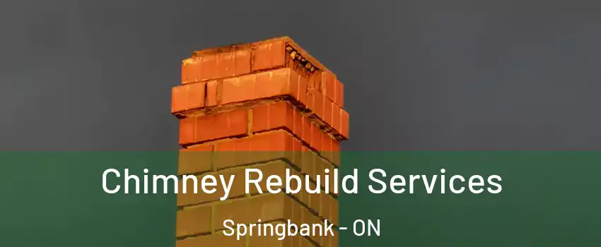  Chimney Rebuild Services Springbank - ON