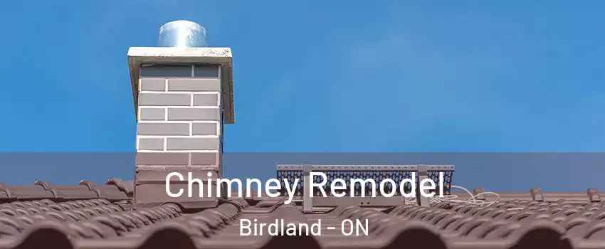  Chimney Remodel Birdland - ON