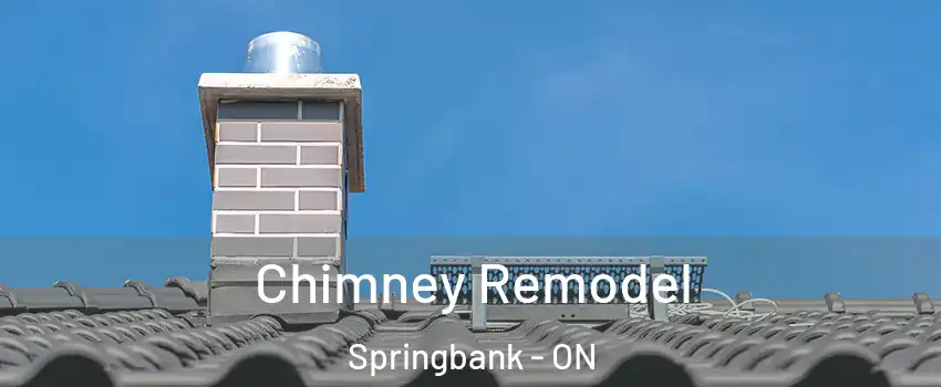  Chimney Remodel Springbank - ON