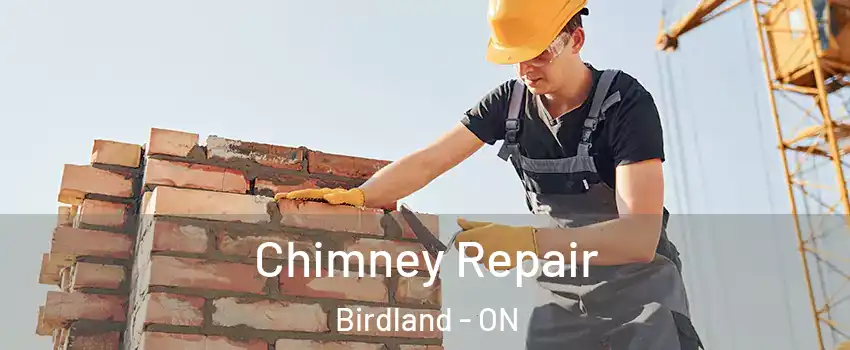  Chimney Repair Birdland - ON