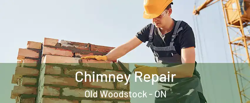  Chimney Repair Old Woodstock - ON