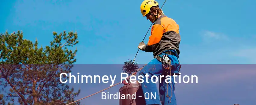  Chimney Restoration Birdland - ON