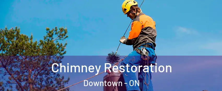  Chimney Restoration Downtown - ON