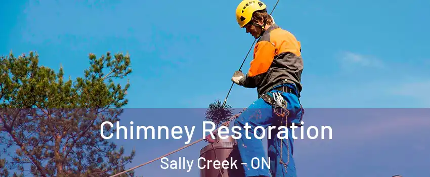  Chimney Restoration Sally Creek - ON