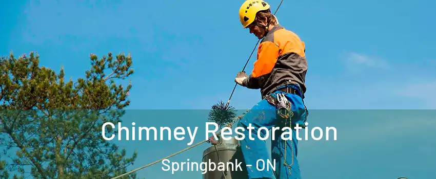  Chimney Restoration Springbank - ON