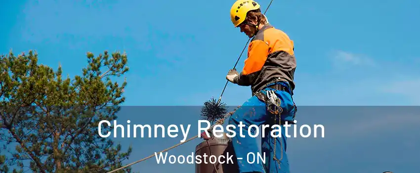 Chimney Restoration Woodstock - ON