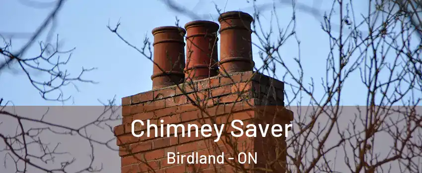 Chimney Saver Birdland - ON