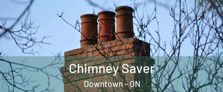  Chimney Saver Downtown - ON