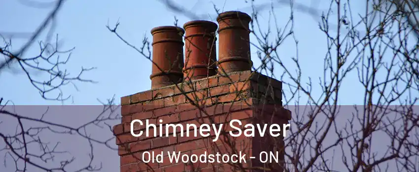  Chimney Saver Old Woodstock - ON