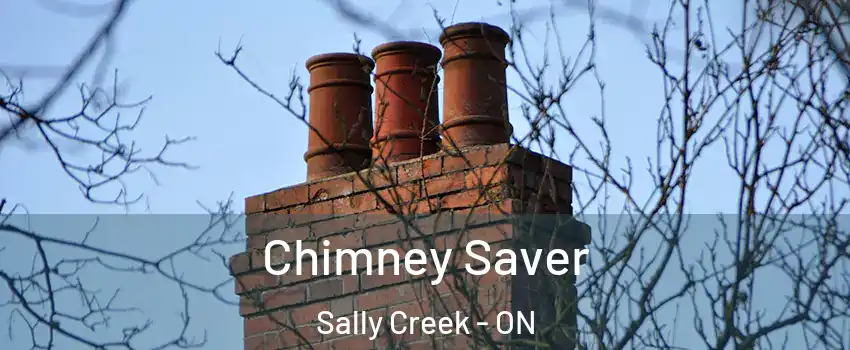  Chimney Saver Sally Creek - ON