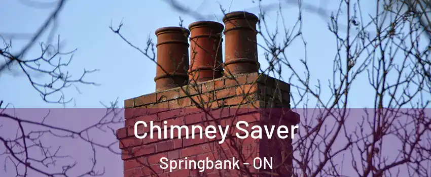  Chimney Saver Springbank - ON