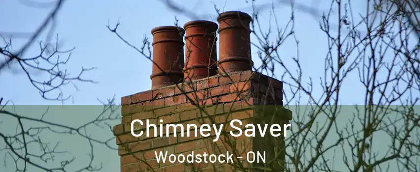  Chimney Saver Woodstock - ON
