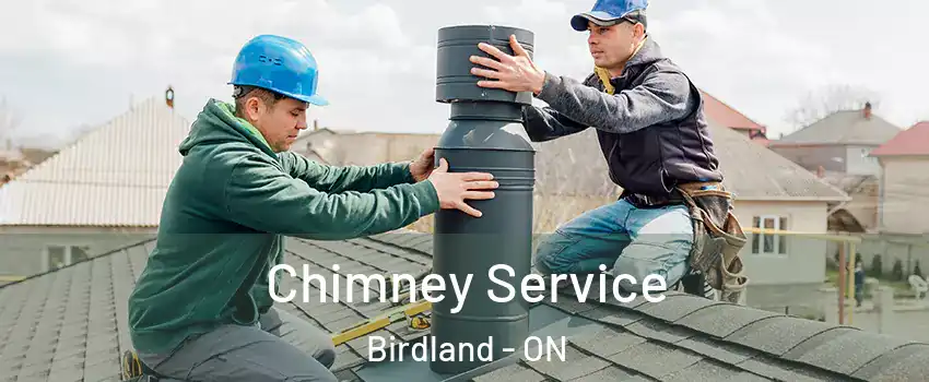 Chimney Service Birdland - ON