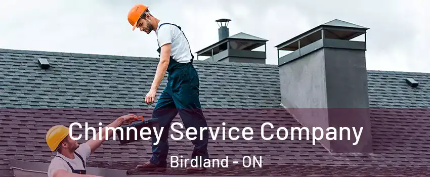  Chimney Service Company Birdland - ON