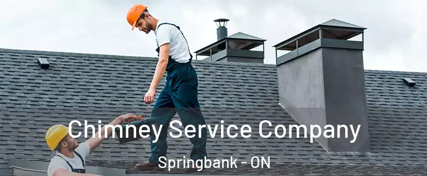  Chimney Service Company Springbank - ON