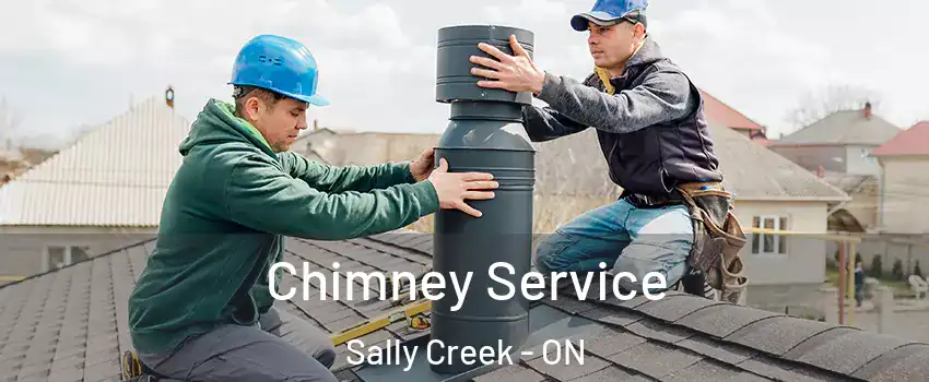  Chimney Service Sally Creek - ON