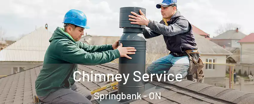  Chimney Service Springbank - ON