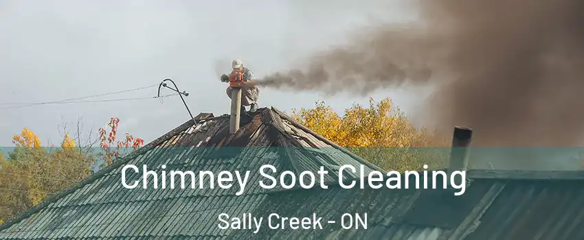  Chimney Soot Cleaning Sally Creek - ON